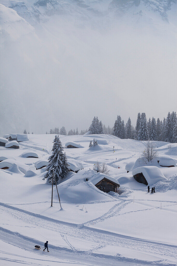 Deep Winter at Sonnenberg Alp, alpine cottages covered with snow, Muerren-Schilthorn skiing area, Muerren, Lauterbrunnental, Jungfrauregion, Bernese Oberland, Canton Bern, Switzerland, Europe
