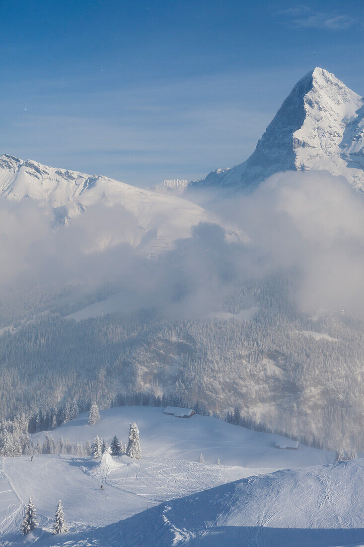 Blick vom Skigebiet Mürren-Schilthorn zum Eiger, Lauterbrunnental, Jungfrauregion, Berner Oberland, Kanton Bern, Schweiz, Europa