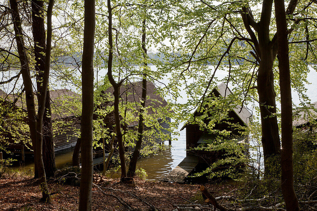 Wooden boatsheds along the lake shore, Stechlin Ruppiner Land, Brandenburg, Germany