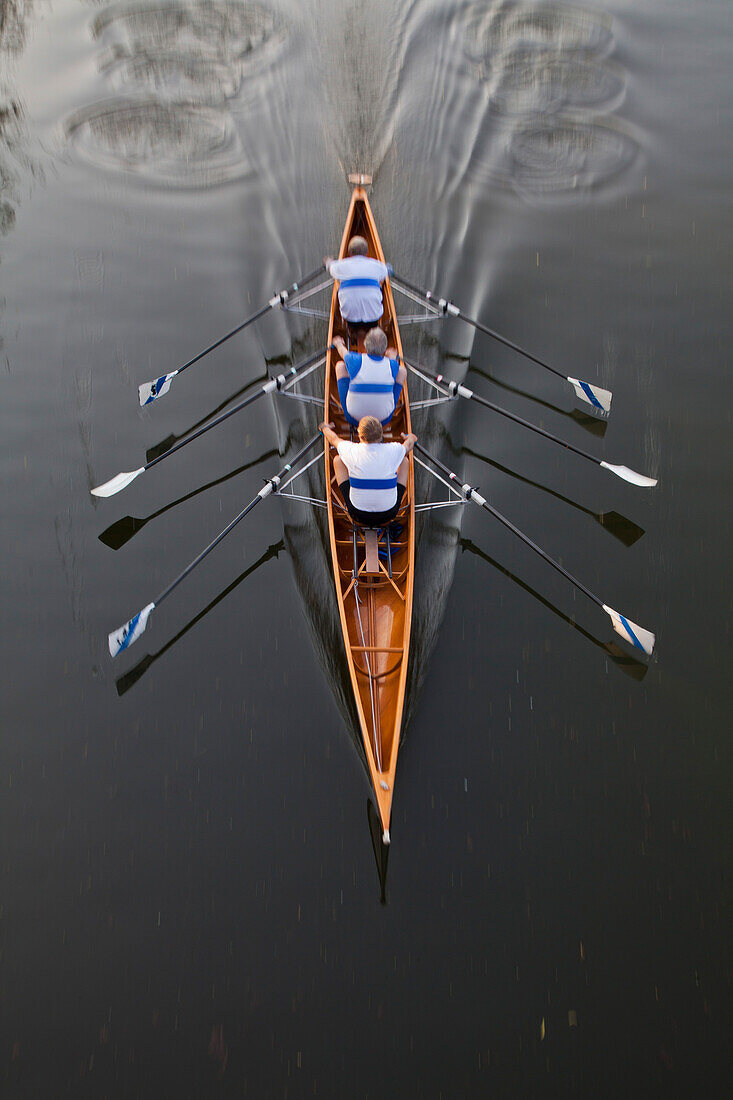 Rowing boat with three rowers, sculling, Water Sports, Sport