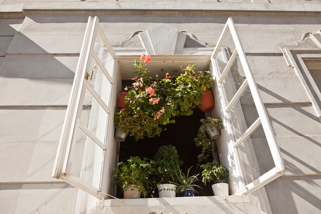 Open window with potted plants, old town of Prague, Czech Republic
