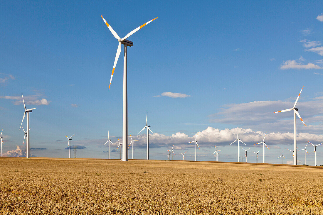 Windenergieanlage im Getreidefeld, Windpark neben der Autobahn A2 nach Berlin, Sachsen-Anhalt, Deutschland