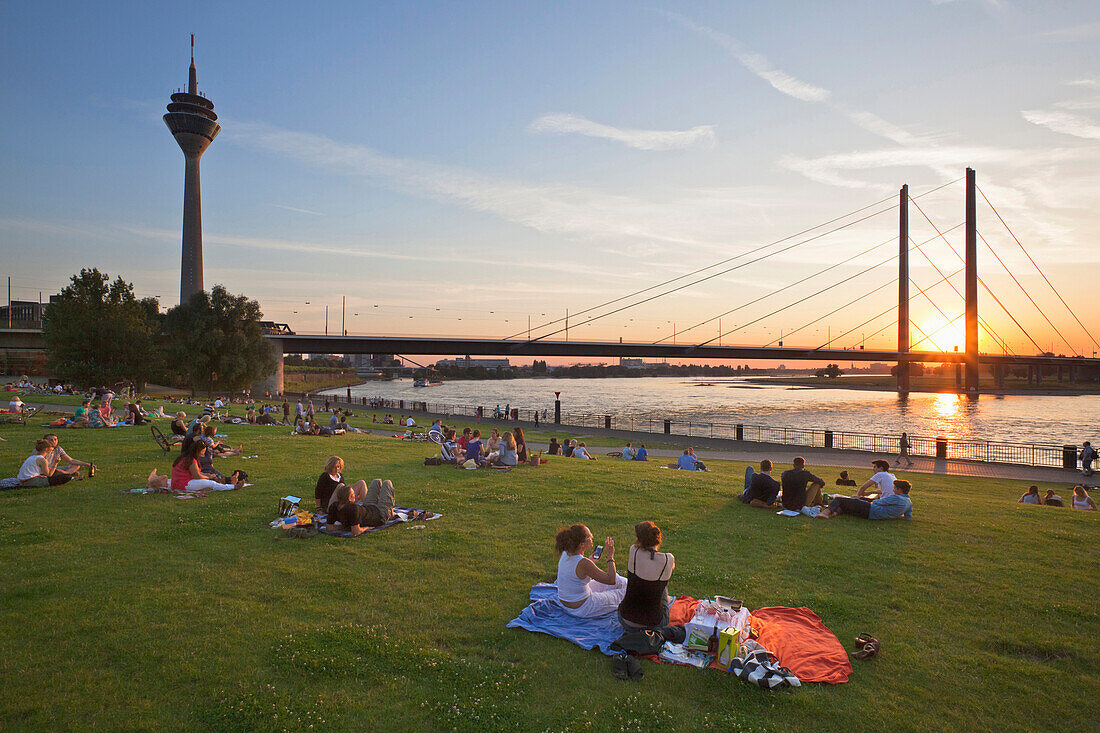 People sitting in the meadow at the Rhine river promenade at sunset, Duesseldorf, North Rhine-Westphalia, Germany, Europe