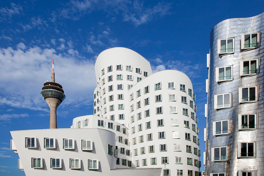 Rheinturm und Neuer Zollhof mit Gehry Bauten, Medienhafen, Düsseldorf, Nordrhein-Westfalen, Deutschland, Europa