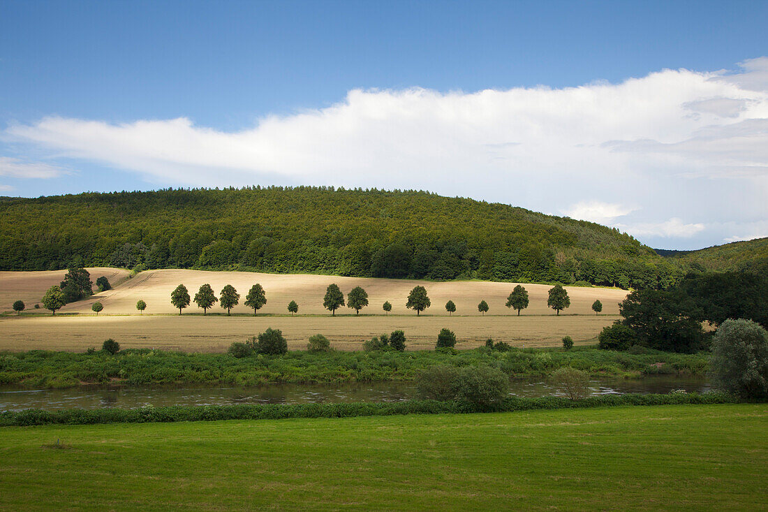 Blick über die Weser in idyllischer Landschaft, Weserbergland, Niedersachsen, Deutschland, Europa