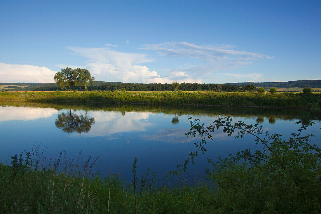 Bäume am Ufer der Weser, Weserbergland, Niedersachsen, Deutschland, Europa