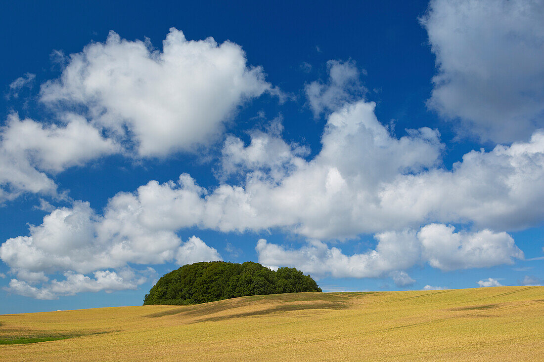 End moraine landscape under clouded sky, Island of Ruegen, Mecklenburg Western Pomerania, Germany, Europe