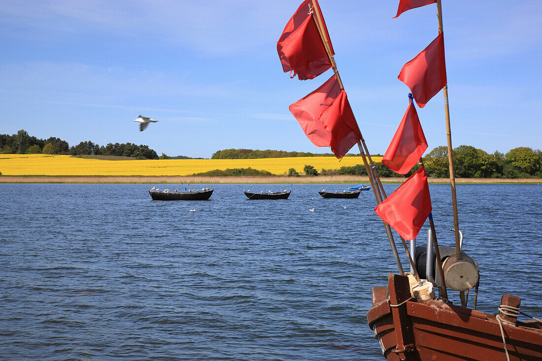 Fischerboot am Gobbiner Haken, Biosphärenreservat Südost-Rügen, Insel Rügen, Ostsee, Mecklenburg Vorpommern, Deutschland, Europa