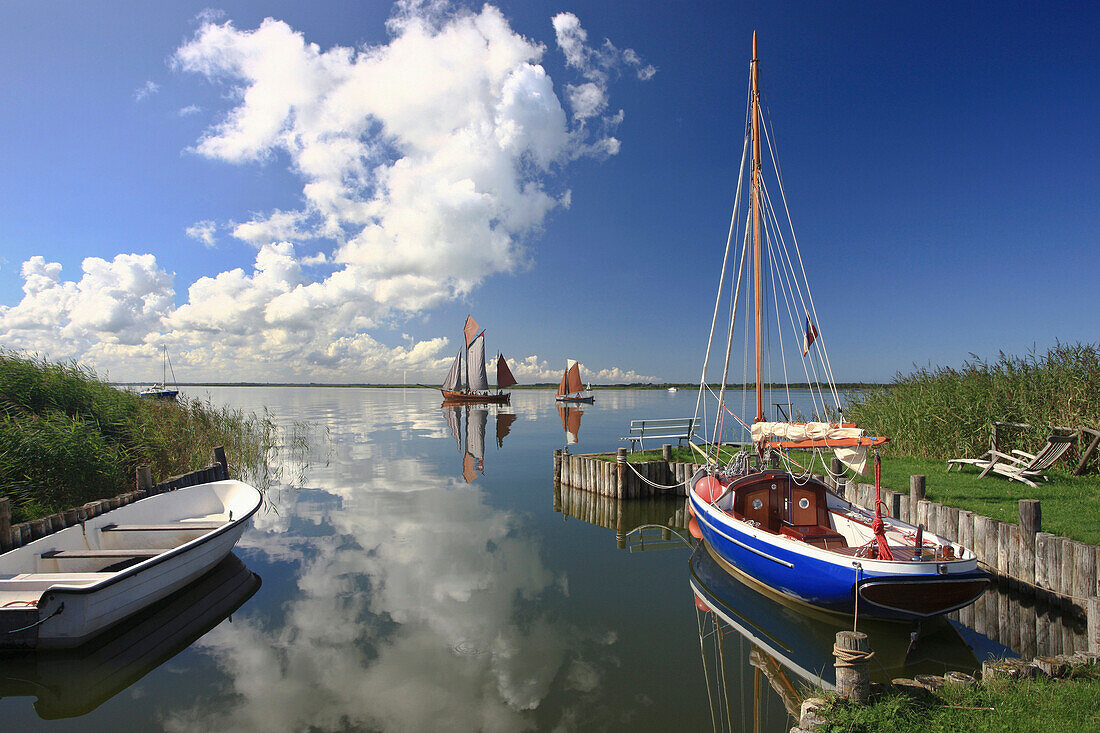 Kleiner Hafen in Barnstorf und Zeesboote auf dem Saaler Bodden, Halbinsel Fischland Darß Zingst, Ostsee, Mecklenburg Vorpommern, Deutschland, Europa