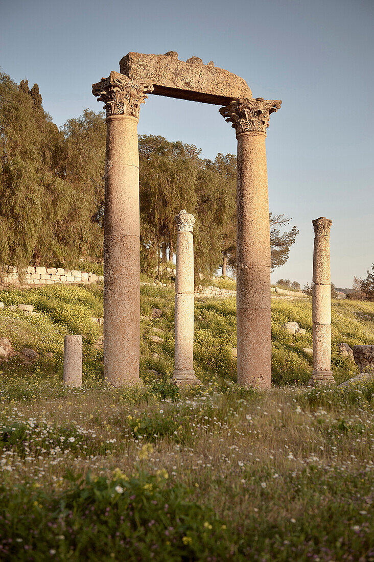 Columns at archaeological excavation, Jerash, Jordan, Middle East, Asia