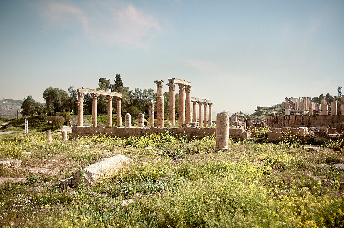 Lane with columns at archaeological excavation, Jerash, Jordan, Middle East, Asia