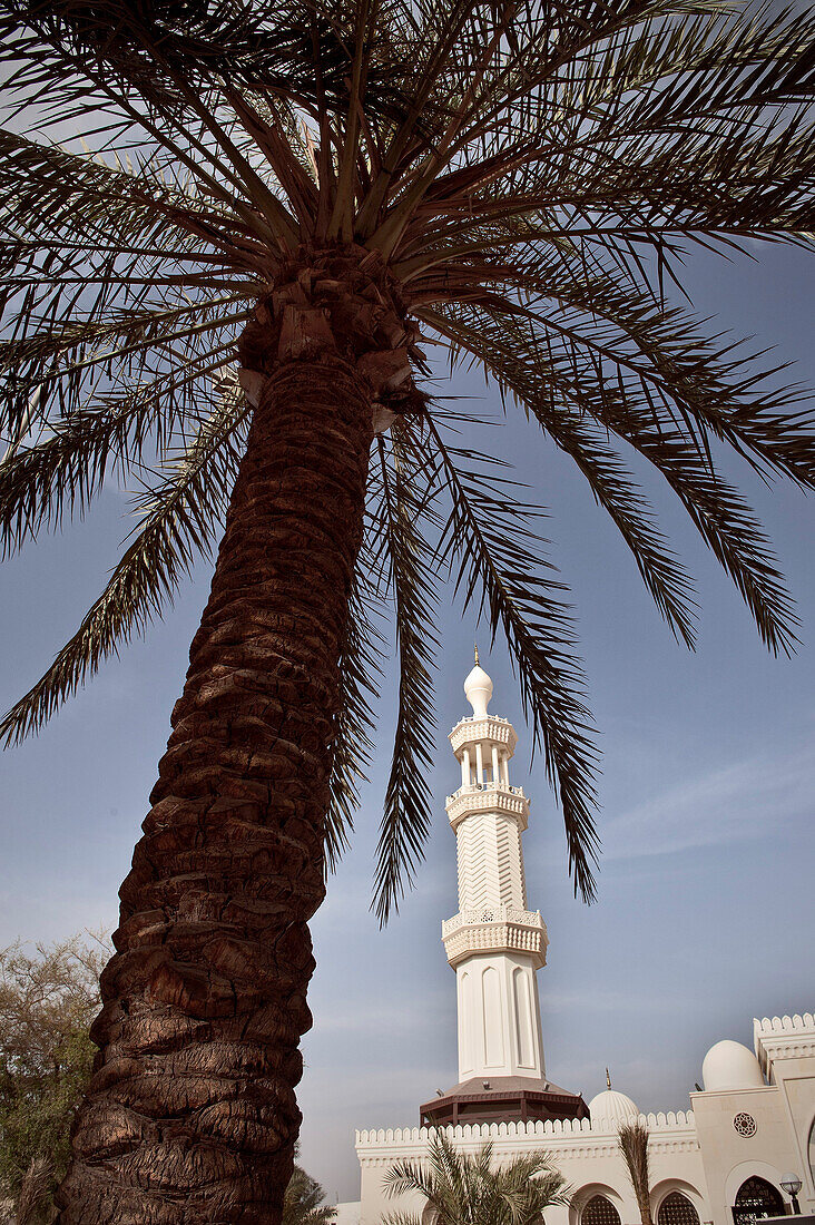 Al Sharif Al Hussein bin Ali Moschee mit Palmen, Golf von Akaba, Rotes Meer, Jordanien, Naher Osten, Asien
