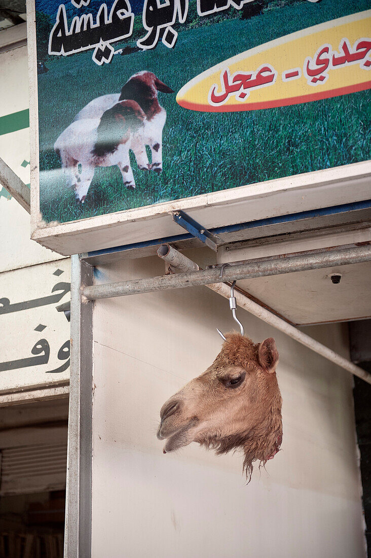 Hanging camel's head for sale on the market, Gulf of Aqaba, Red Sea, Jordan, Middle East, Asia