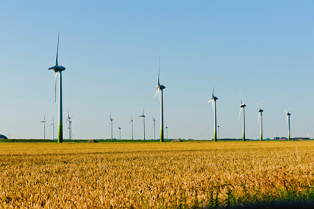 Windräderpark Nähe Eidersperrwerk, Nordfriesland, Schleswig Holstein, Deutschland