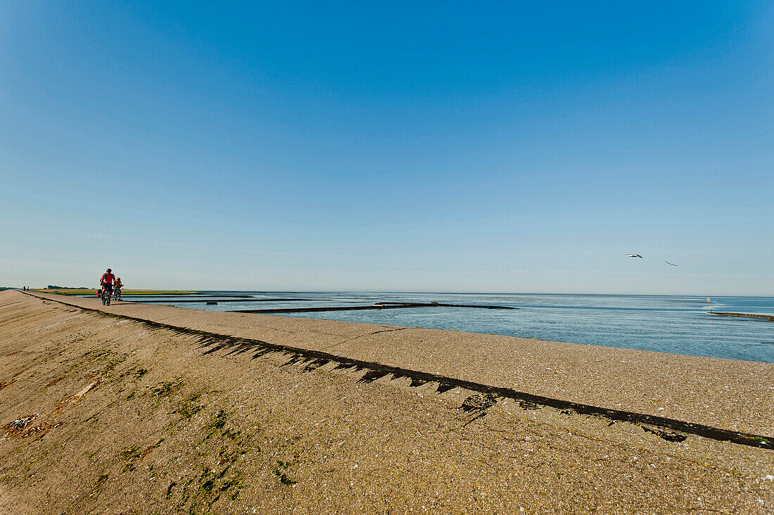 at the Eider Barrage, Nordsee, Schleswig-Holstein, Germany