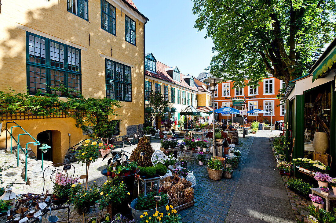 Typische Höfe in der Altstadt von Flensburg, Flensburger Förde, Schleswig-Holstein, Deutschland