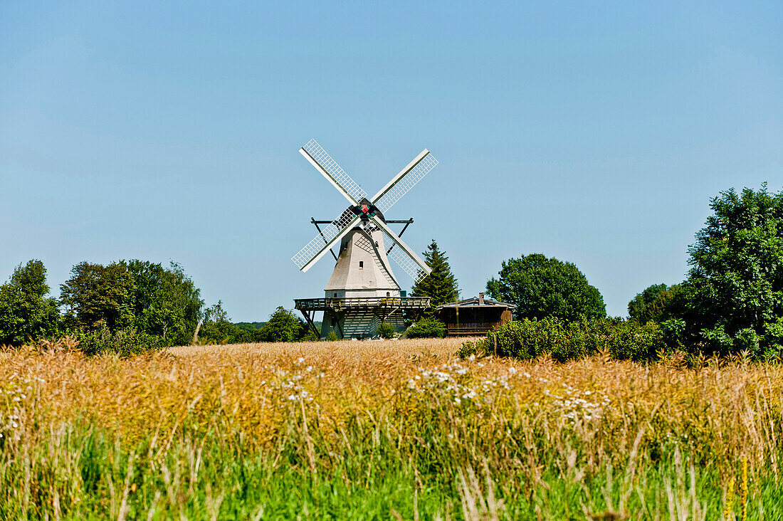 Windmill, Museum of the village Unewatt, Langballig, Schleswig-Flensburg, Schleswig-Holstein, Germany