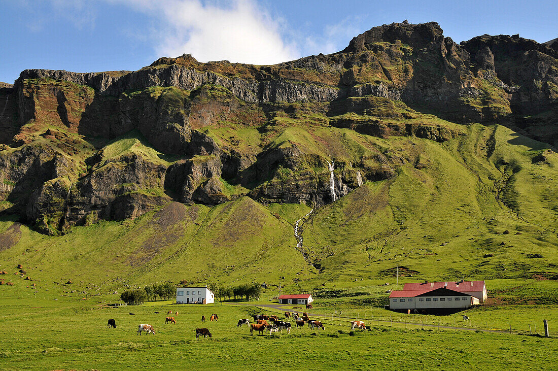 Bauernhöfe an der Küste unter dem Vulkan Porsmörk, Süd Island, Europa