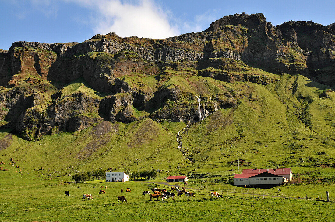 Farmhouse at the coast underneath of the Porsmoerk vulkano, South Iceland, Europe