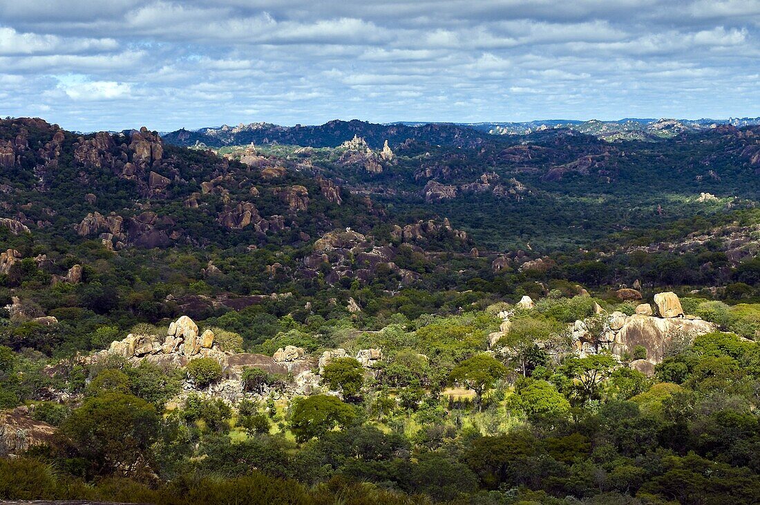 Africa, Zimbabwe, South Matabeleland province, Matobo National Park, the Matobo Mounts classified on the World Heritage of Unesco list since 2003