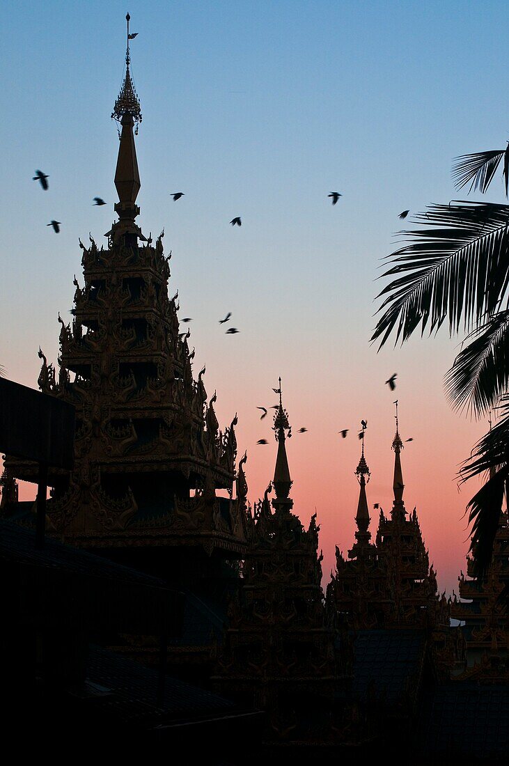 Myanmar (Burma), Yangon State, Yangon capital, Kandawgyi Quarter, People Park, Shwedagon pagoda, view on south-west entrance