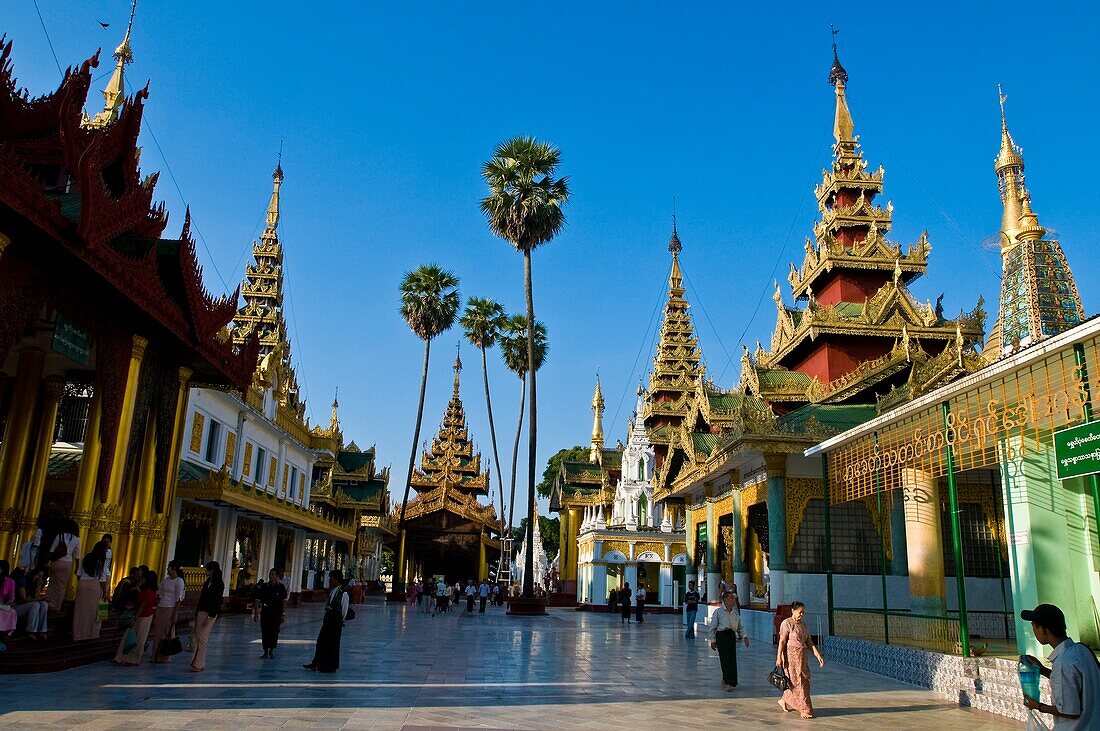 Myanmar (Burma), Yangon State, Yangon capital, Kandawgyi Quarter, People Park, Shwedagon pagoda, symbol of the city and the coutry, attracts many Buddhists