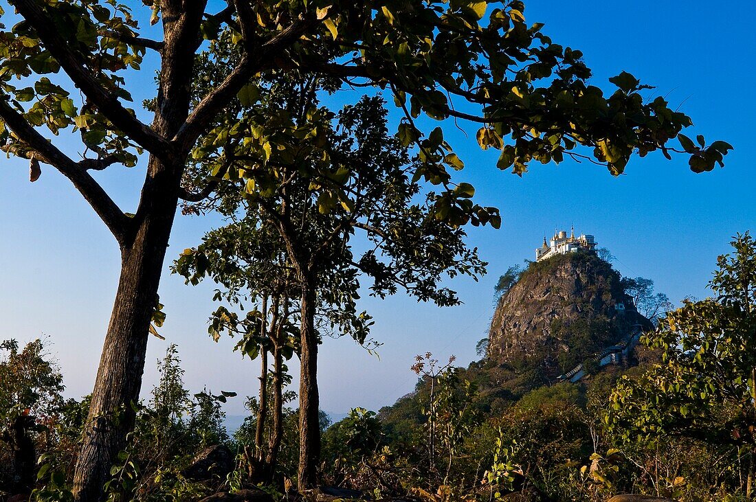 Myanmar (Burma), Mandalay State, Popa Mount, the Popa Taung Kalat monastery towers above 737 meters on an ancient volcano extinct since 250 000 years