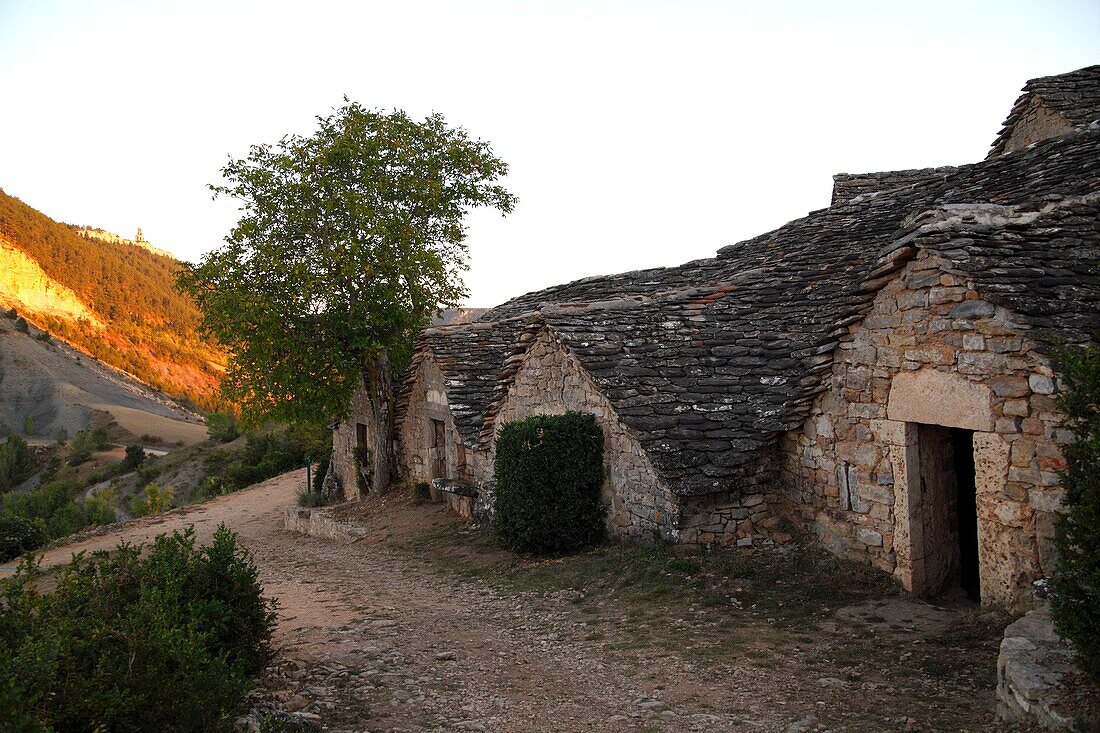 France, Midi-pyrénées, Aveyron (12), cellar to Entre-deux-Monts (Riviere sur tarn)