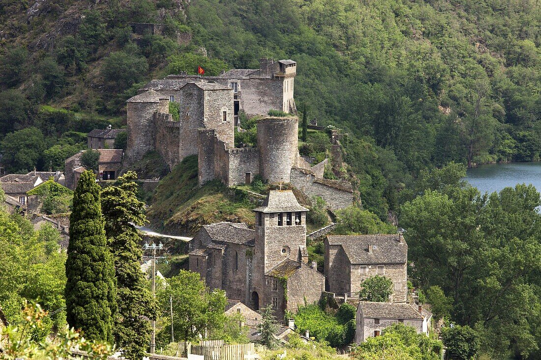 France, Aveyron, Raspes du Tarn, Brousse le Chateau