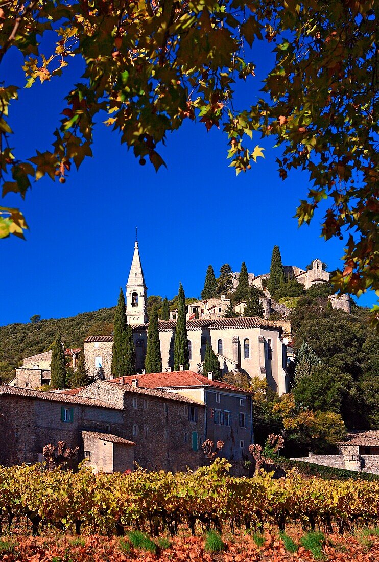 France, Gard (30), La Roque sur Cèze, labeled The Most Beautiful Villages of France, vertical view from the vineyard in autumn