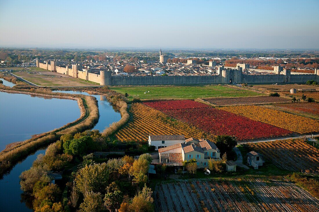 France, Gard (30), Aigues-Mortes, a fortified city, surrounded by ramparts of the XIII century, the Tower of Constance and the Canal du Rhone at Sète, the vineyard (wine sand) with fall color (aerial view)