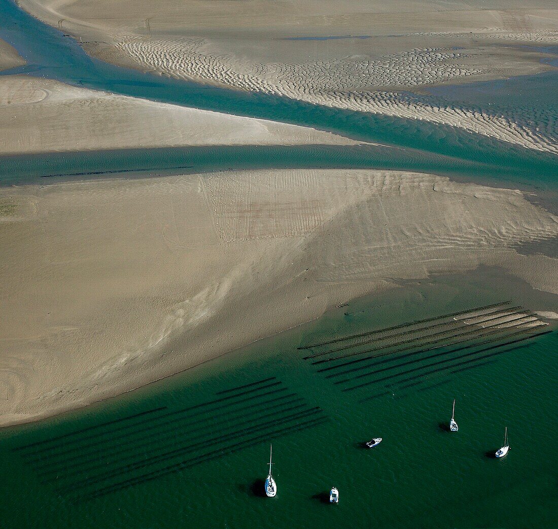 France, Loire-Atlantique (44), Le Croisic, sand and oyster park, (for air)