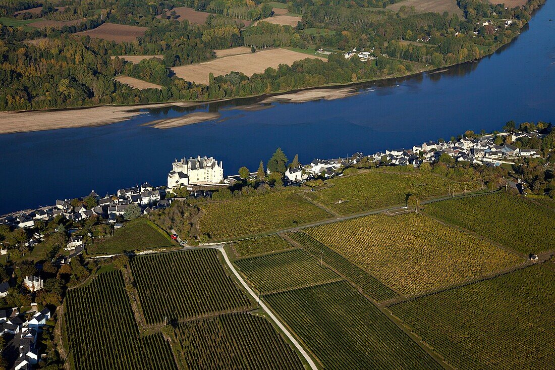France, Maine et Loire (44), labeled Village Montsoreau The Most Beautiful Villages of France, the chateau of the fifteenth century, on the banks of the Loire, the vineyards of Loire wines, Champigny, Saumur, (aerial view)