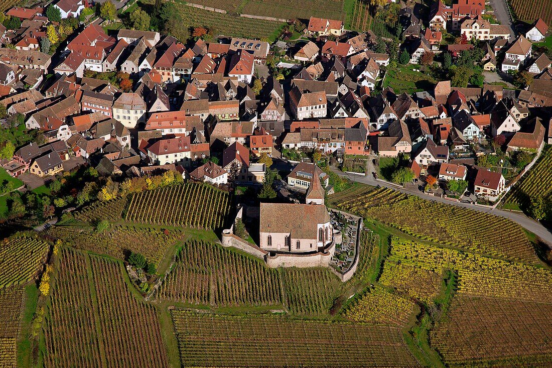 France, Haut-Rhin (68), Hunawihr, picturesque village of Alsace, labeled The Most Beautiful Villages of France, located on the Wine Route of Alsace, in the autumn landscape, (aerial view)