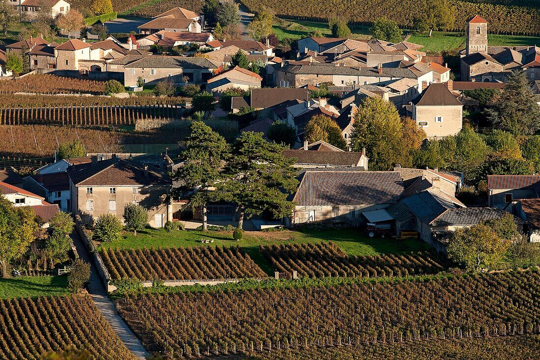 France, Saone-et-Loire (71), Fuisse, village vineyards of the Mâconnais, Pouilly Fuisse AOC Burgundy, its vineyards in the village