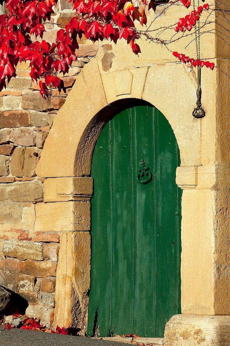 'France; Saone-et-Loire (71); arched door with the old hammer vine red'