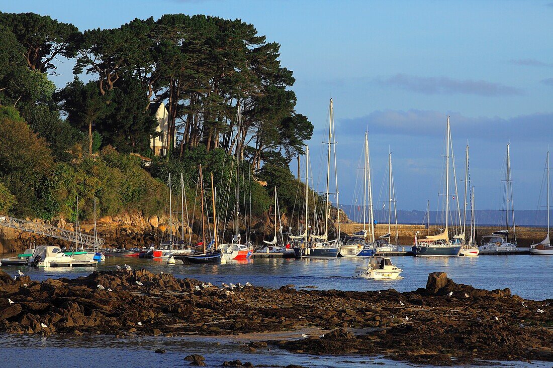 France, Finistère (29), Tréboul, Douarnenez resort and port, the marina at dawn