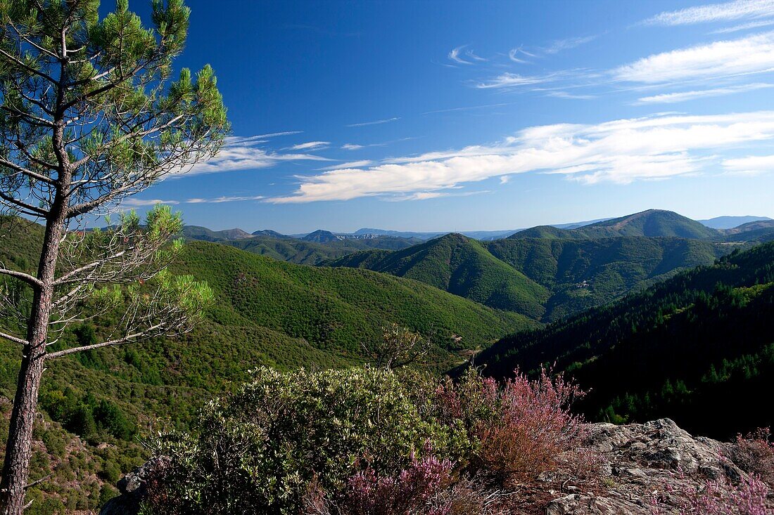 France, Gard (30), Landscape of the Cevennes from the pass St. Peter, the Cevennes National Park, World Heritage of Unesco