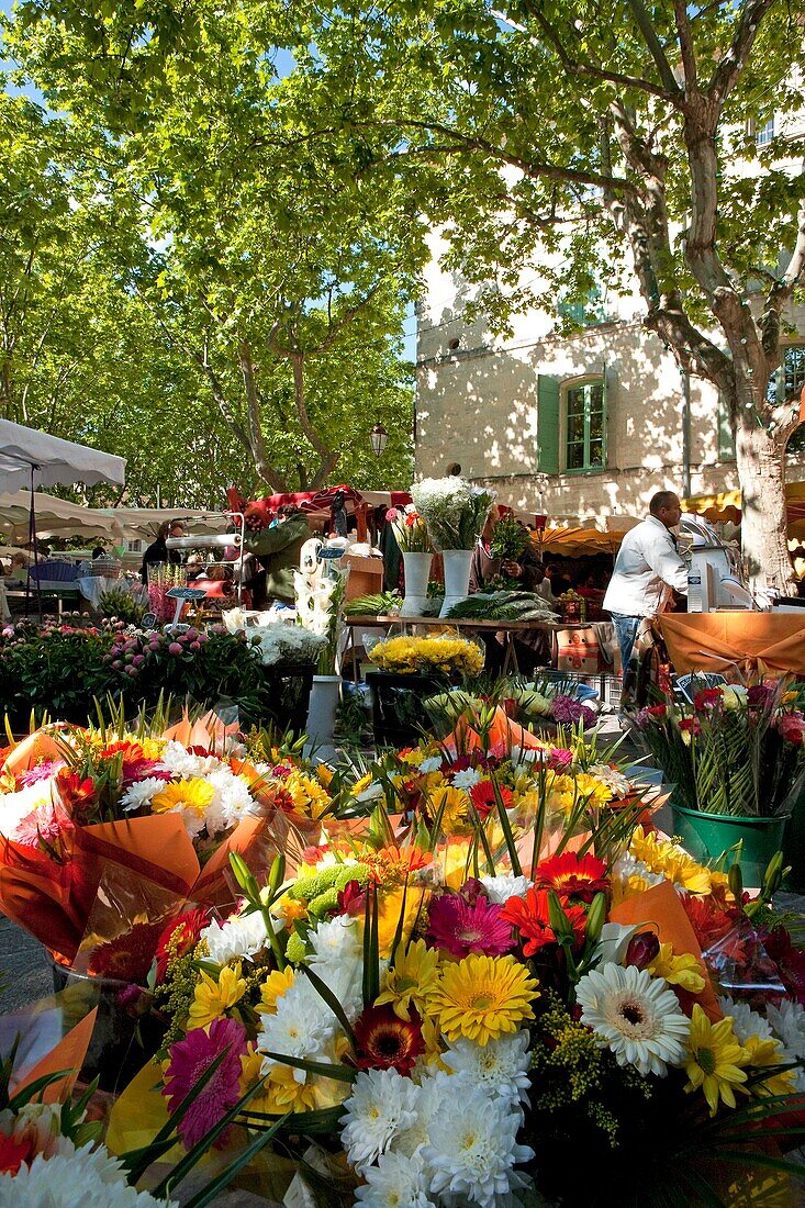 'France, Gard (30), Uzès, market day on the Place aux Herbes;'