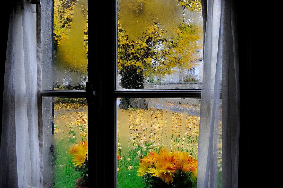 RAIN ON WINDOW-PANE IN AUTUMN, AISNE, PICARDIE, FRANCE