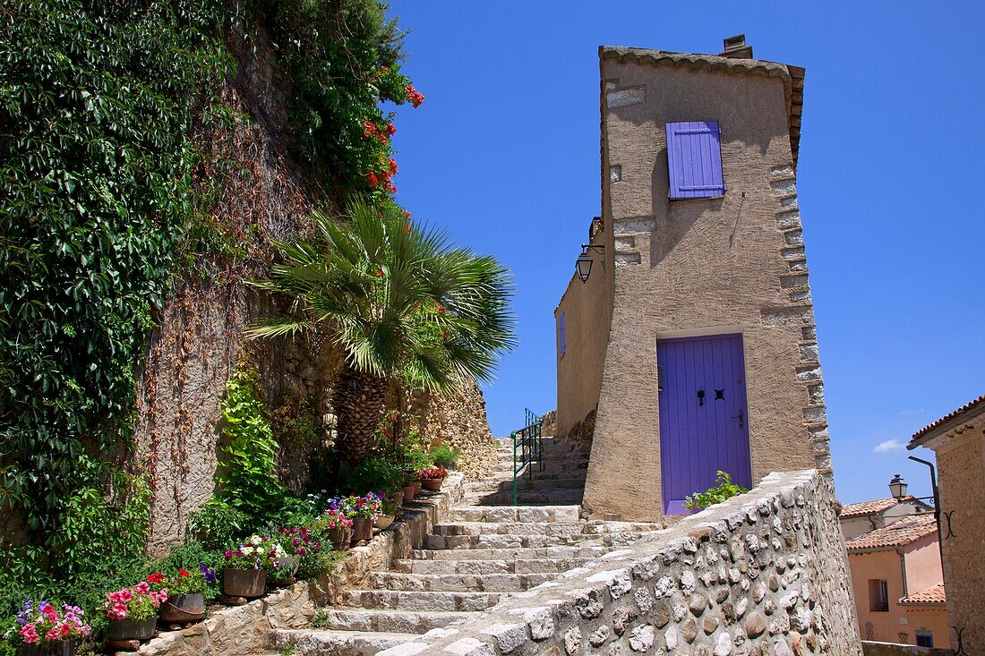 France, Alpes de Haute-Provence (04), Village of Sainte-Croix-du-Verdon, picturesque street and house, (aerial photo)