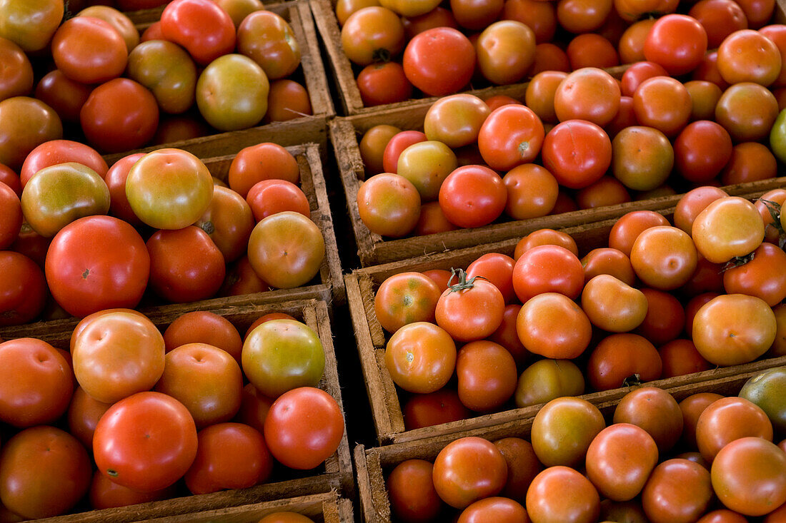 Crates of Tomatoes