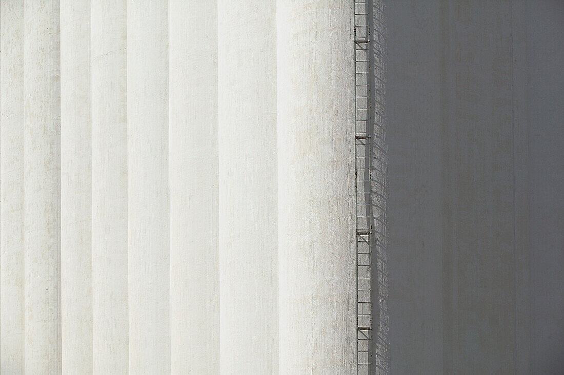 Ladder on Side of Grain Elevator