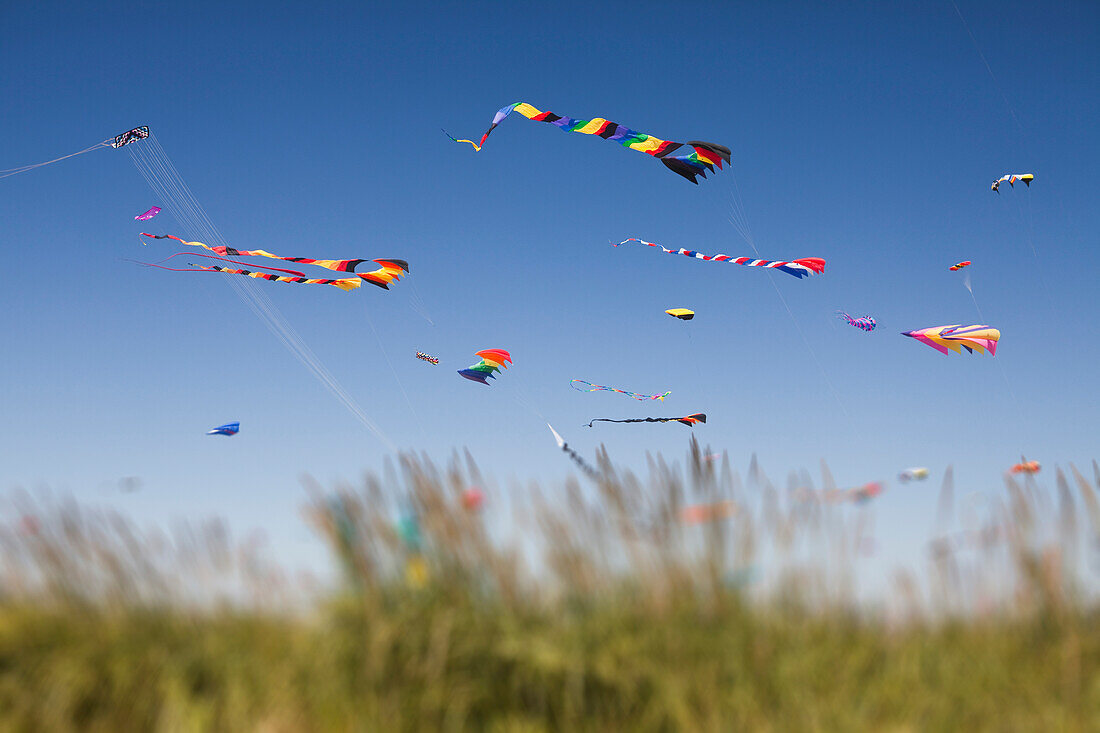 Multicoloured decorated kites flying on the breeze at a kite festival in Long Beach, Washington, USA., Colorful kites flying at beach