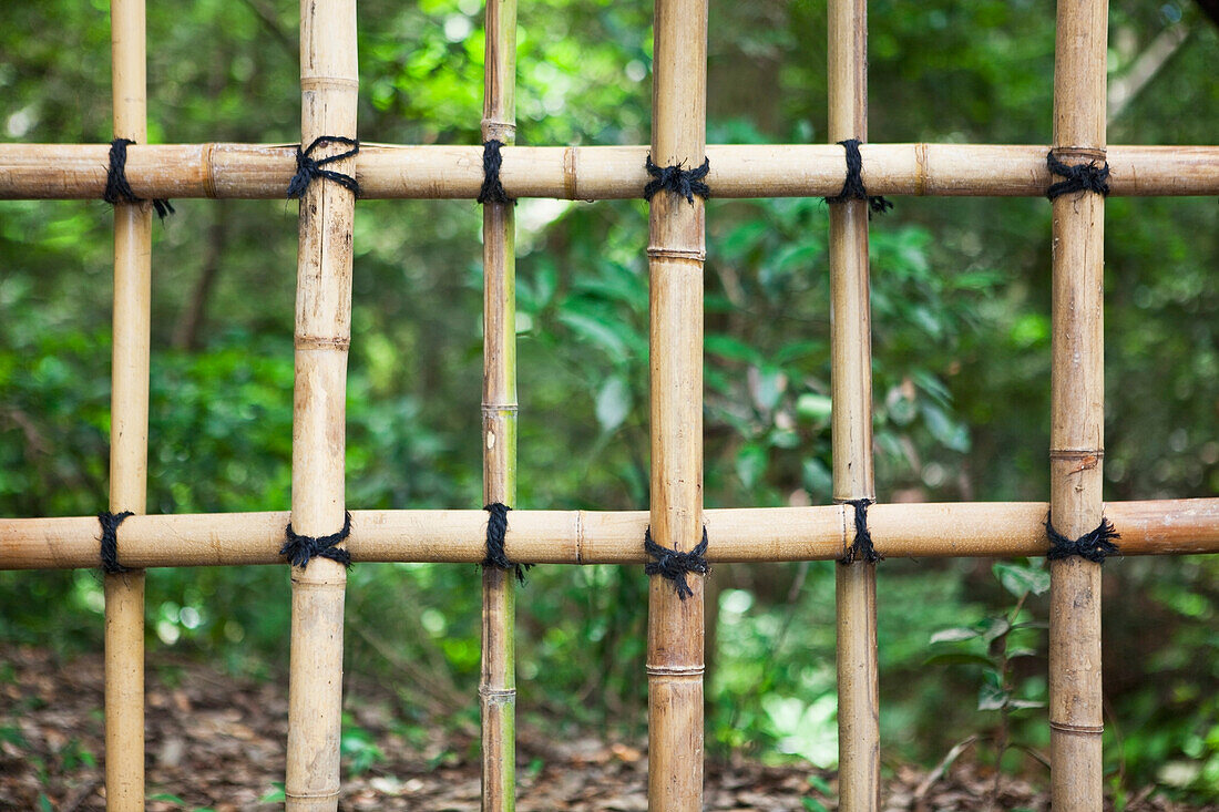 Bamboo fence detail, Meiji Jingu Shrine, Tokyo, Japan, Bamboo fence detail, Meiji Jingu Shrine, Tokyo, Japan