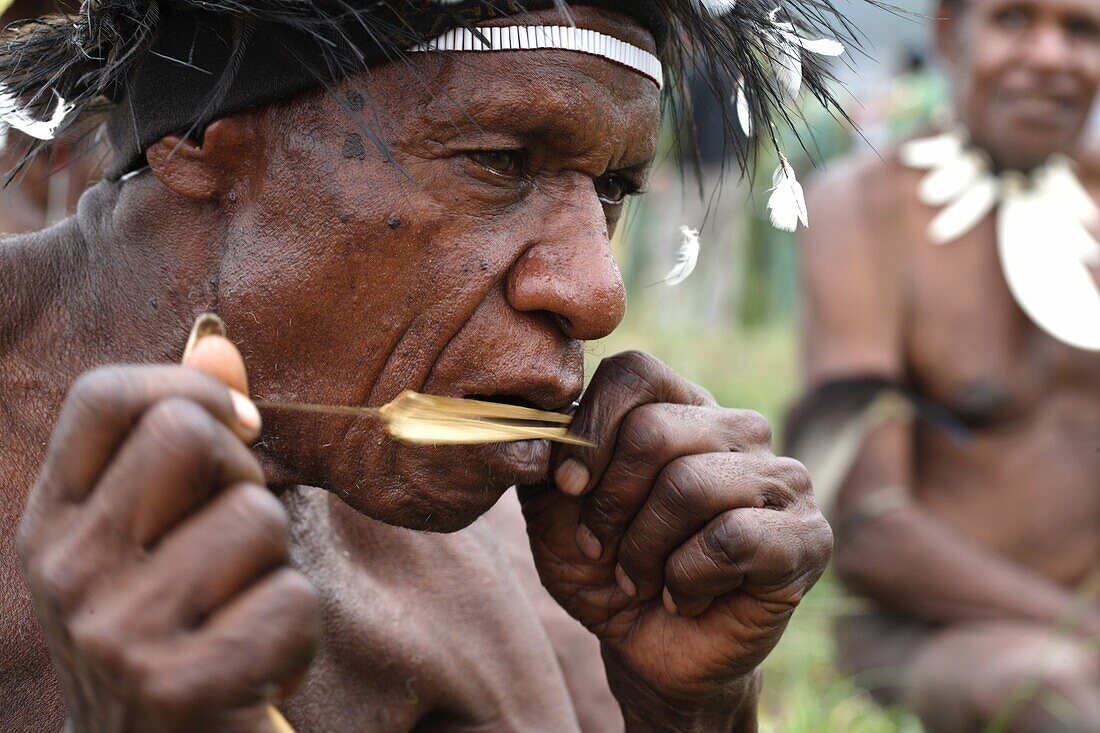 Portrait of local Papuan man, playing a traditional instrument, Baliem Valley festival, Jayawijaya region, Papua, Indonesia, Southeast Asian