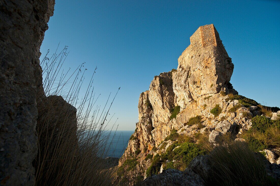 Burg Castell del Rei, IX - X Tramuntana Küste, Pollensa Mallorca Spanien Balearen