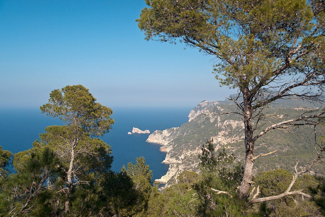 Es Amunts Küste, Sant Antoni de Portmany, Ibiza, Balearische Inseln, Spanien