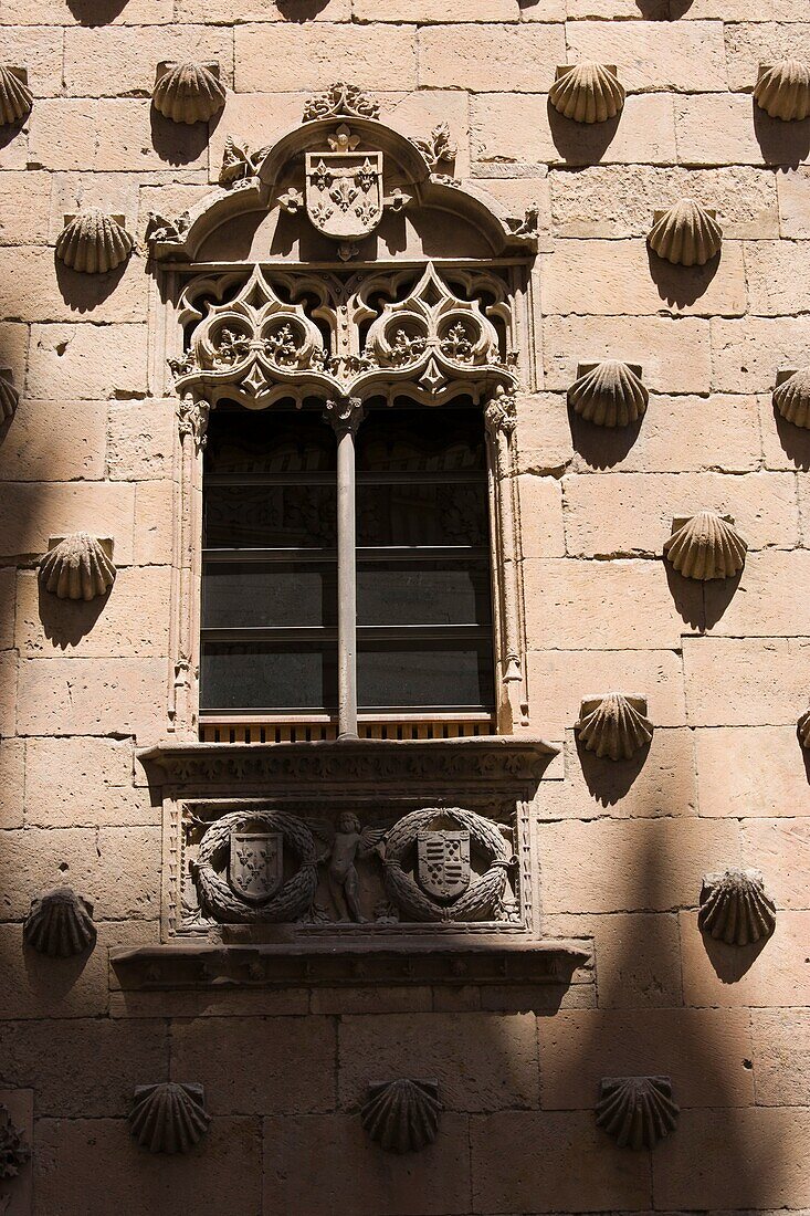 Casa de las Conchas, Salamanca, Castilla y León, Spain