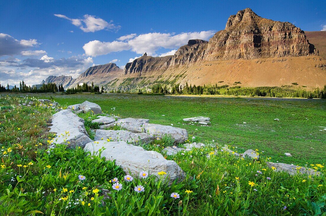 Alpine meadows at Logan Pass with the Garden Wall and Bishop´s Cap in the distance, Glacier National Park Montana USA